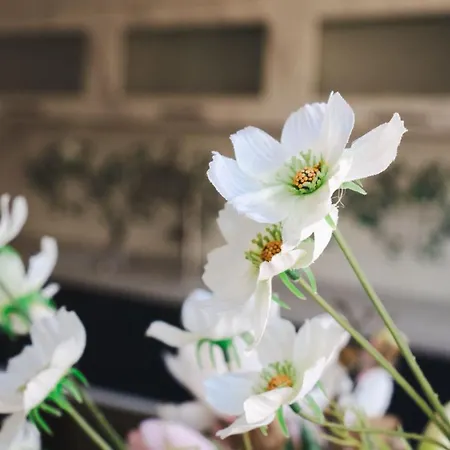 דירה Mandaroza פרייבורג