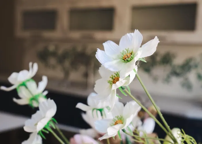 شقة Mandaroza فرايبورغ